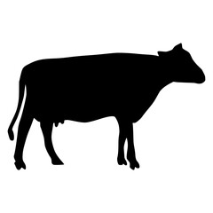Black silhouette cow Hand drawn illustration