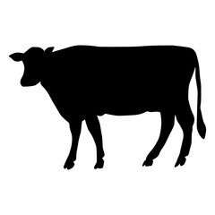 Black silhouette cow Hand drawn illustration