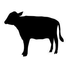 Black silhouette cow Hand drawn illustration