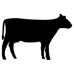 Black silhouette cow Hand drawn illustration