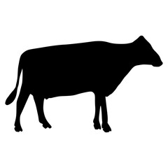 Black silhouette cow Hand drawn illustration