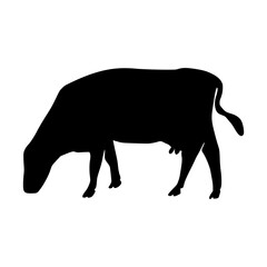 Black silhouette cow Hand drawn illustration