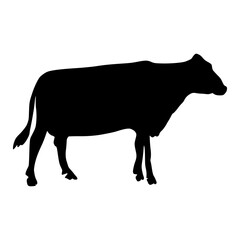 Black silhouette cow Hand drawn illustration