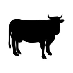 Cow Silhouette Hand Drawn