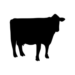 Cow Silhouette Hand Drawn