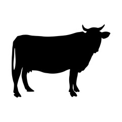 Cow Silhouette Hand Drawn