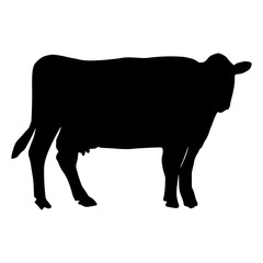 Cow Silhouette Hand Drawn