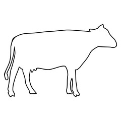 line cow Hand drawn illustration