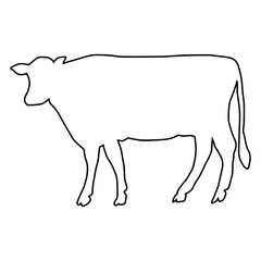 line cow Hand drawn illustration