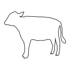 line cow Hand drawn illustration