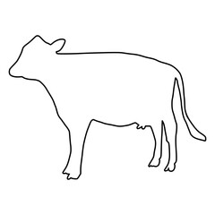line cow Hand drawn illustration