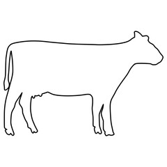 line cow Hand drawn illustration