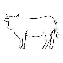 line cow Hand drawn illustration