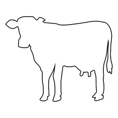 line cow Hand drawn illustration