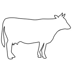 line cow Hand drawn illustration