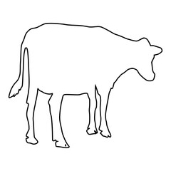 line cow Hand drawn illustration