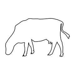 line cow Hand drawn illustration