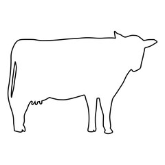 line cow Hand drawn illustration
