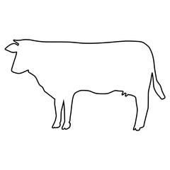 line cow Hand drawn illustration