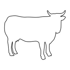 line cow Hand drawn illustration