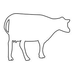 line cow Hand drawn illustration