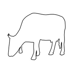 line cow Hand drawn illustration