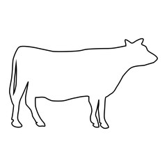 line cow Hand drawn illustration