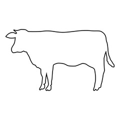 line cow Hand drawn illustration