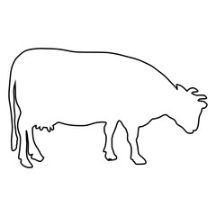 line cow Hand drawn illustration