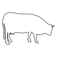 line cow Hand drawn illustration