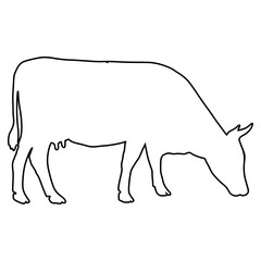 Cow line Hand Drawn