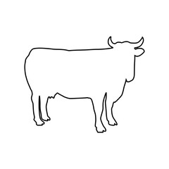 Cow line Hand Drawn