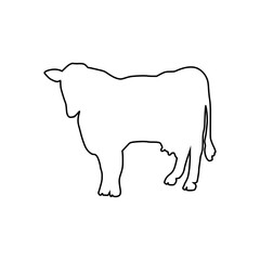 Cow line Hand Drawn