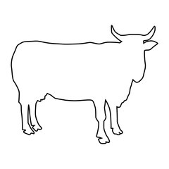 Cow line Hand Drawn