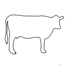 Cow line Hand Drawn