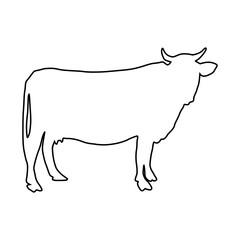 Cow line Hand Drawn
