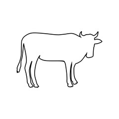Cow line Hand Drawn