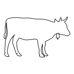 Cow line Hand Drawn