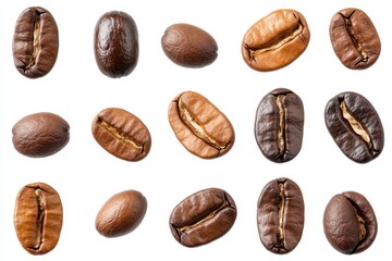 A collection of various coffee beans showcasing different roasts and types.