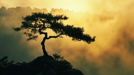 Solitary Tree Silhouette at Sunrise