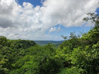Obraz premium View over the tropical dry forest in Parque Nacional Santa Rosa in Costa Rica