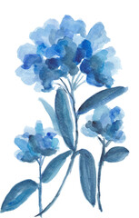 blue flower watercolour hand drawn illlustration clipart