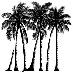 Silhouette palm trees vector illustration, black and white, tropical theme, perfect for prints