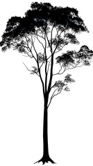 Obraz premium Silhouette of a tall tree with spreading branches and dense foliage illustration. isolate on white background