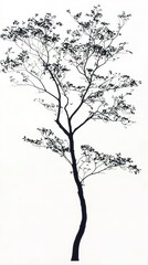 Obraz premium Print Majestic Silhouette of the Sourwood Tree, Nature's Elegant Profile on white background 