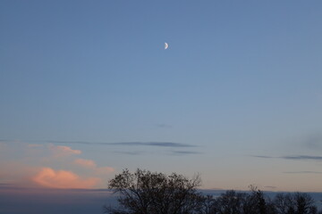 first quarter moon against blue skies above trees
