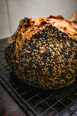 Wholewheat with Sesame Sourdough Bread details