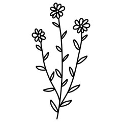 Flower line hand drawn