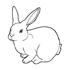 rabbit outline vector illustration on white background