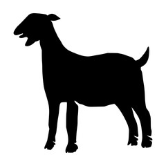 Goat Illustration Silhouette Eid al-Adha